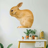 Whispering Bunny Wall Decal (3 Sizes Available)