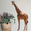 Giraffe Wall Decal (5 Sizes Available)