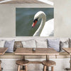 Viar Majestic Swan Wall Decal (4 Sizes Available)