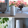 LEVOIT Air Purifier for Home Large Room with H13 True HEPA Filter