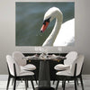 Viar Majestic Swan Wall Decal (4 Sizes Available)