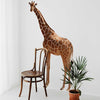 Giraffe Wall Decal (5 Sizes Available)