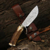 Serpent Damascus Hunting Knife with Antler Handle
