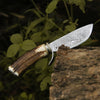 Serpent Damascus Hunting Knife with Antler Handle