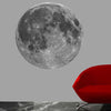 Full Moon Wall Decal (3 Sizes Available)