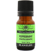 Peppermint Essential Oil