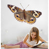 Spotted Butterfly Wall Decal (6 Sizes Available)