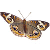 Spotted Butterfly Wall Decal (6 Sizes Available)