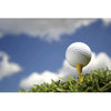 Tee'd Up Golf Wall Decal (3 Sizes Available)