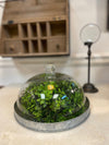 Metal Galvanized Round Dish with Glass Cover