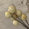 9 Pc. Palm Artichoke on Natural Stem Drop-in Bouquet